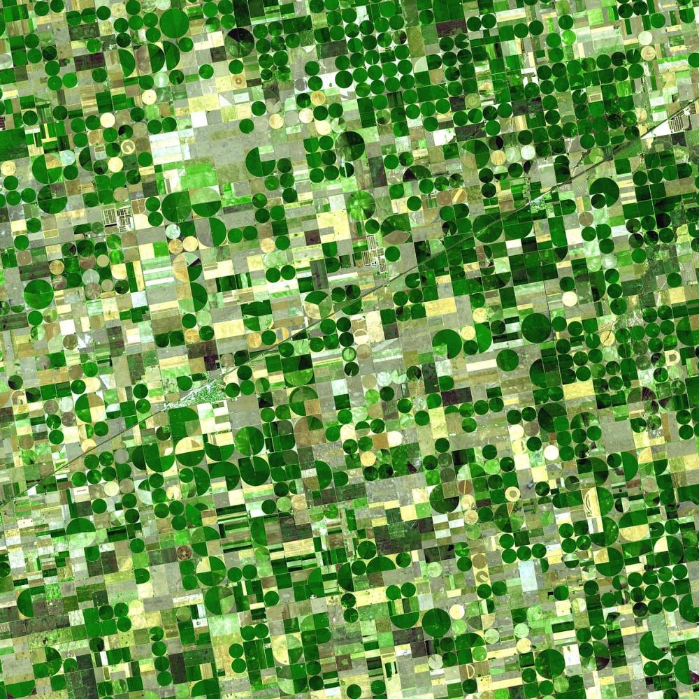 Sustainable Agriculture Solutions